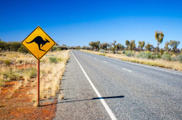 The Perfect Aussie Souvenirs & Gifts – Take a Piece of Australia Home!