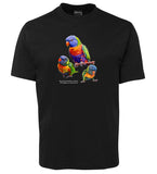 Australian Rainbow Lorikeet Adults T-Shirt (Black)