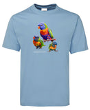 Australian Rainbow Lorikeet Adults T-Shirt (Light Blue)