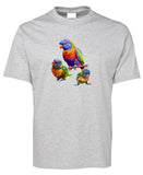 Australian Rainbow Lorikeet Adults T-Shirt (Snow Grey)