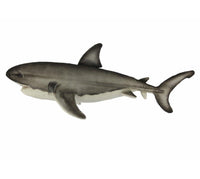 Great White Shark Stuffed Plush Toy (50cm Long)