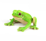 Australian Green Tree Frog Plush Toy